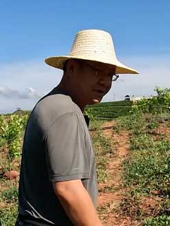 农业人叶涛，50多岁通讯人跨界搞农业，他要用1000万打造一个梦。